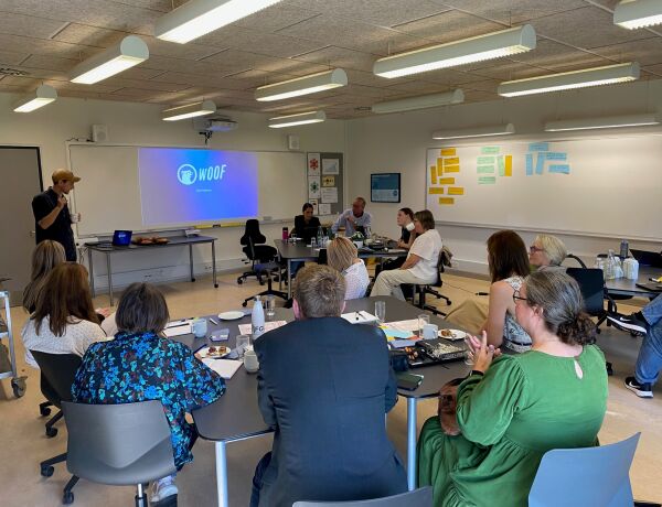 AGU online konference