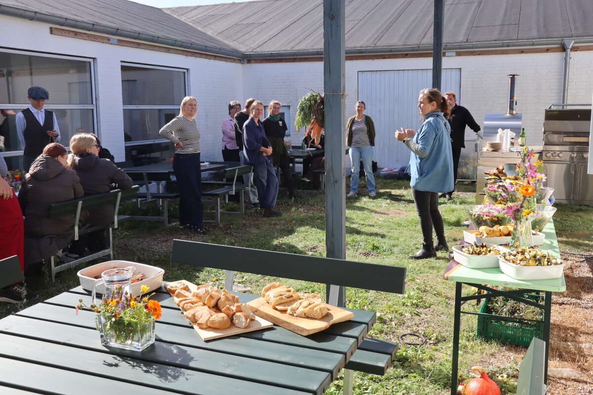 Præsentation af frokost