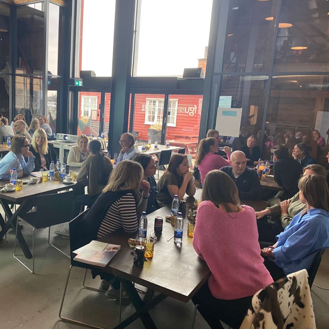 KUI Temaeftermiddag på VærftsCafeen – med fokus på styrket samarbejde mellem FGU og KUI