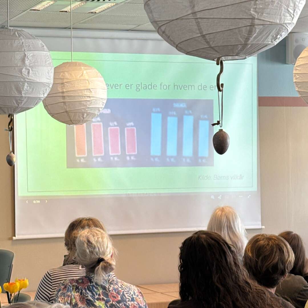 Deltagere sidder og ser en præsentation med grafer projiceret på lærred i et undervisningslokale.